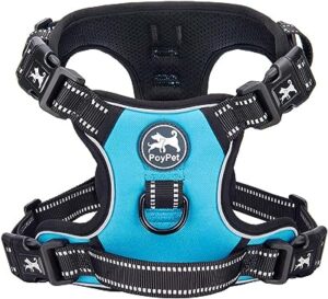 Sled Dog Harnesses 