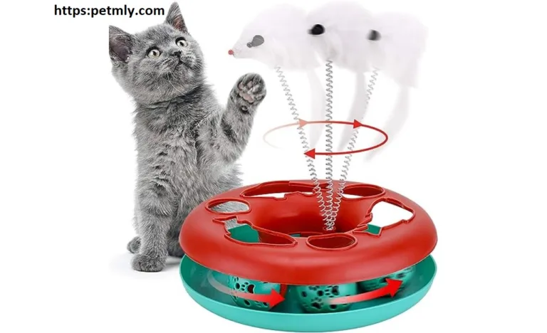 Cat Toys for Indoor Cats