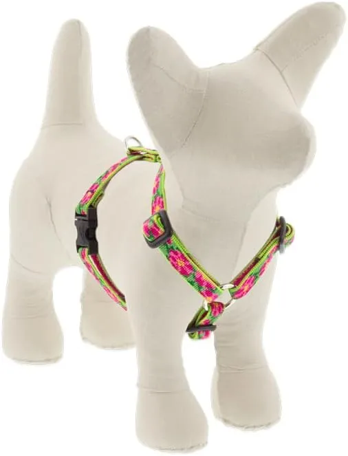 Lupine Dog Harness