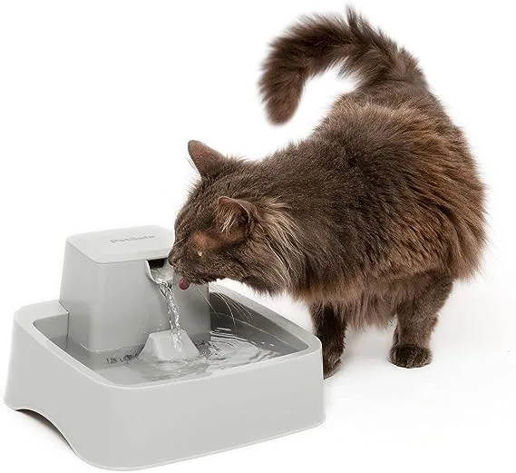 Pet drinking well