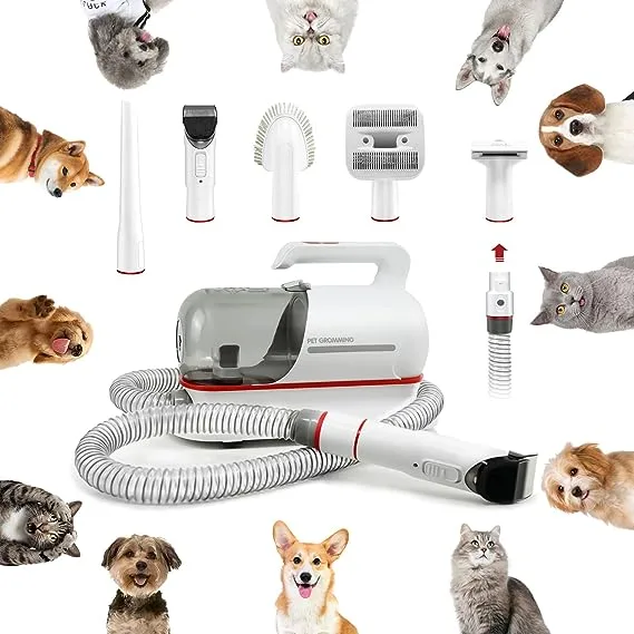 Dog Hair Vacuum