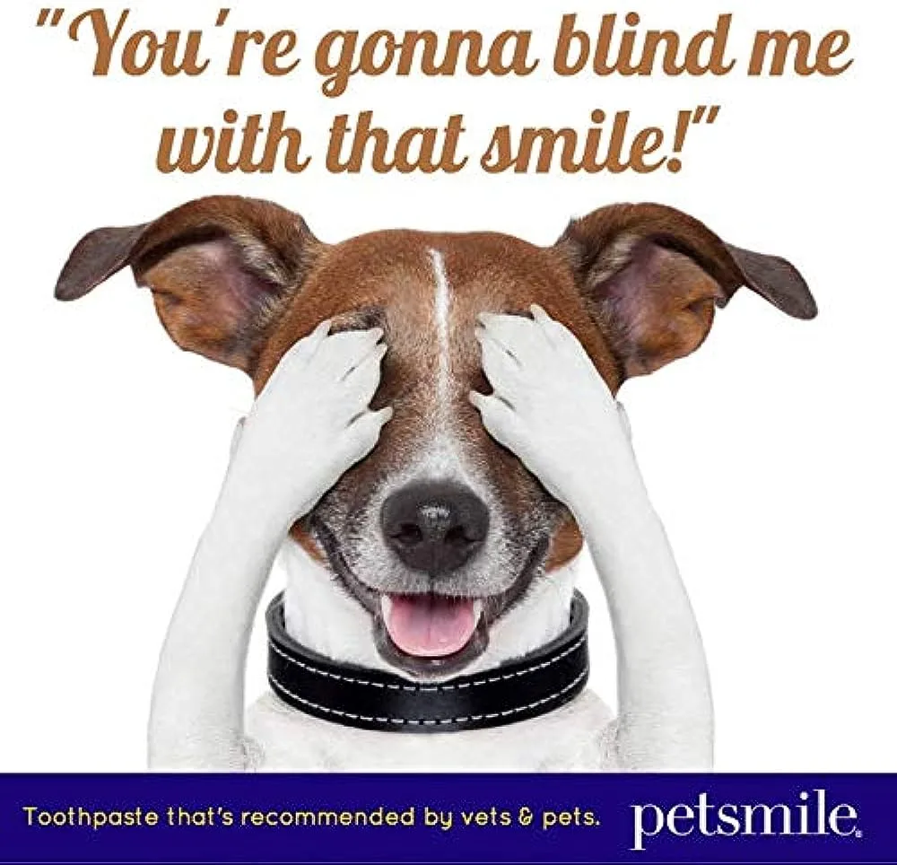 Pet Smile Toothpaste
