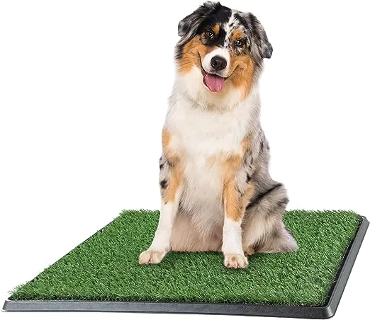 Grass Pee Pad for Dogs
