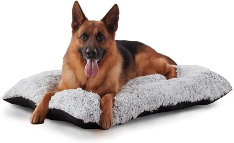 Orthopedic dog beds