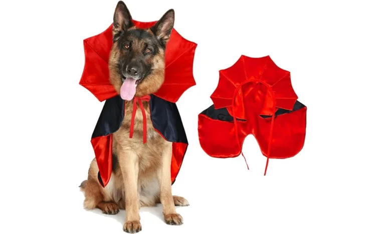 halloween dress for dogs