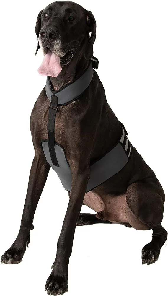 Dog Cooling vest